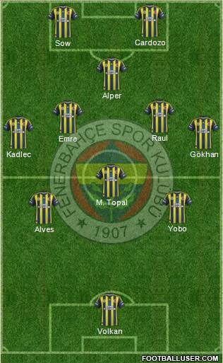 Fenerbahçe SK Formation 2013