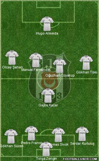 Besiktas JK Formation 2013