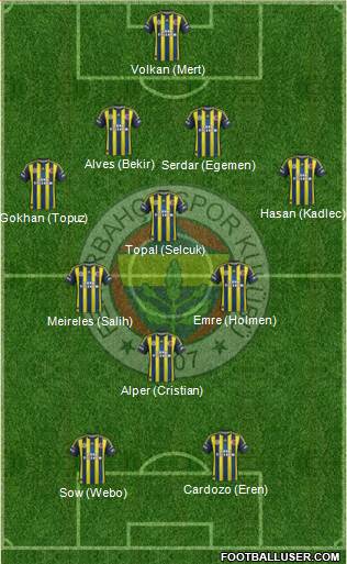 Fenerbahçe SK Formation 2013