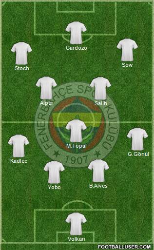 Fenerbahçe SK Formation 2013