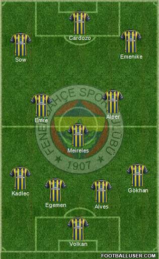 Fenerbahçe SK Formation 2013