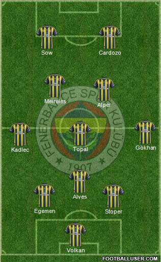 Fenerbahçe SK Formation 2013