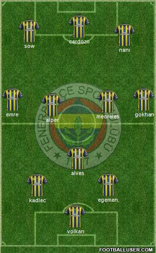 Fenerbahçe SK Formation 2013