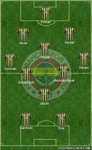 Fenerbahçe SK Formation 2013