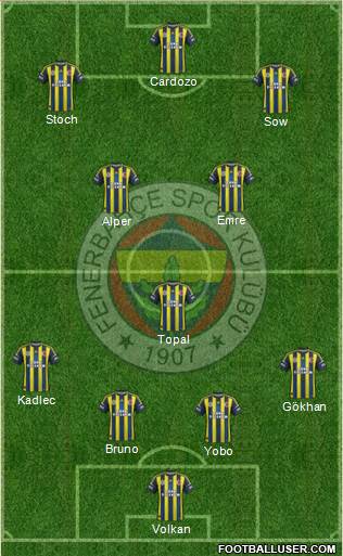 Fenerbahçe SK Formation 2013