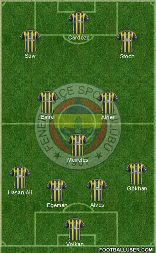 Fenerbahçe SK Formation 2013