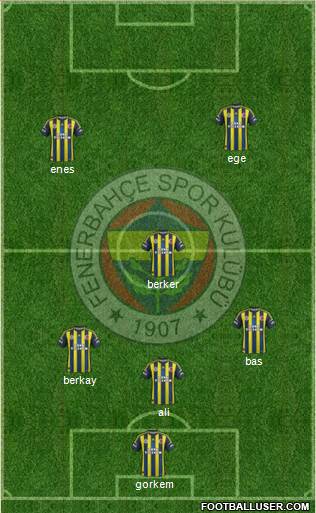 Fenerbahçe SK Formation 2013