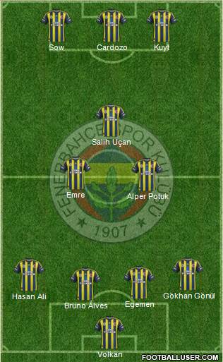 Fenerbahçe SK Formation 2013