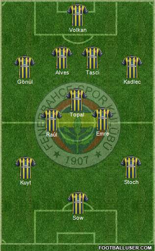 Fenerbahçe SK Formation 2013