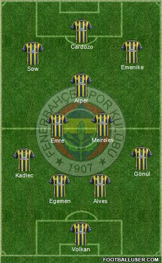 Fenerbahçe SK Formation 2013