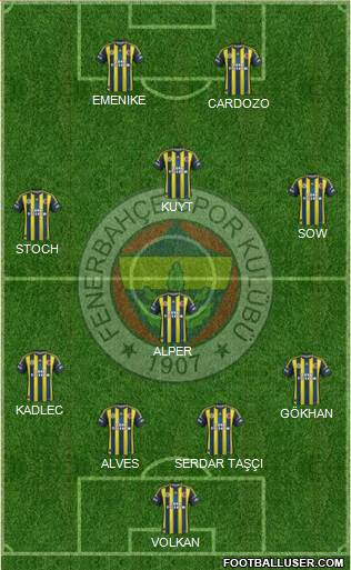Fenerbahçe SK Formation 2013
