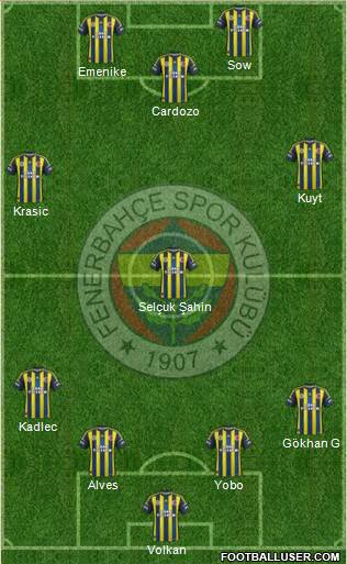Fenerbahçe SK Formation 2013