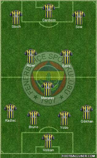 Fenerbahçe SK Formation 2013