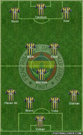 Fenerbahçe SK Formation 2013