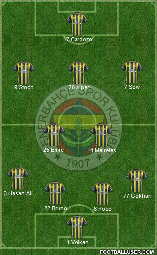Fenerbahçe SK Formation 2013
