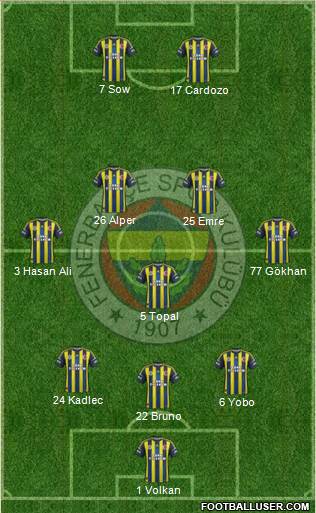 Fenerbahçe SK Formation 2013