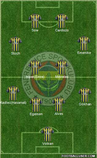 Fenerbahçe SK Formation 2013