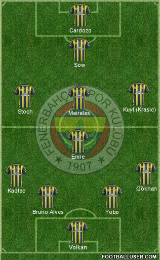 Fenerbahçe SK Formation 2013