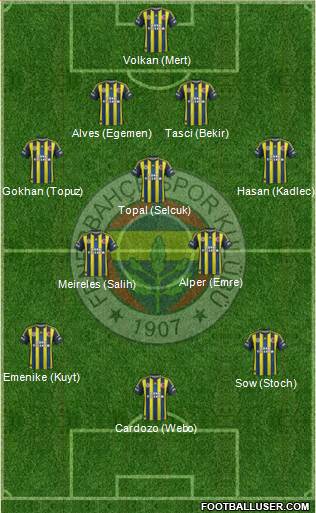 Fenerbahçe SK Formation 2013