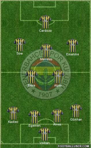 Fenerbahçe SK Formation 2013