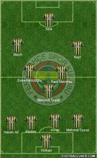 Fenerbahçe SK Formation 2013