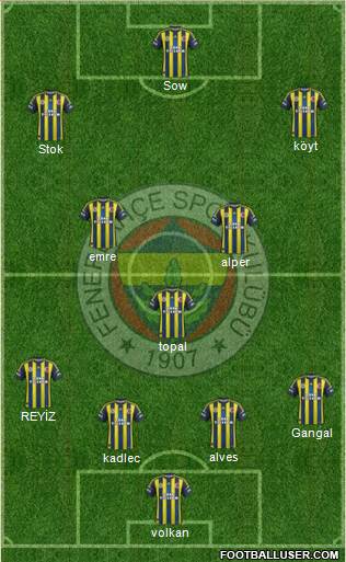 Fenerbahçe SK Formation 2013