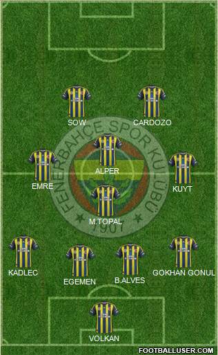 Fenerbahçe SK Formation 2013