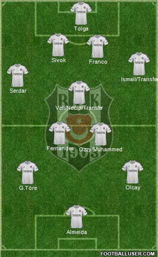 Besiktas JK Formation 2013