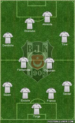 Besiktas JK Formation 2013