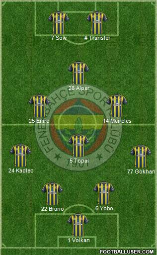 Fenerbahçe SK Formation 2013