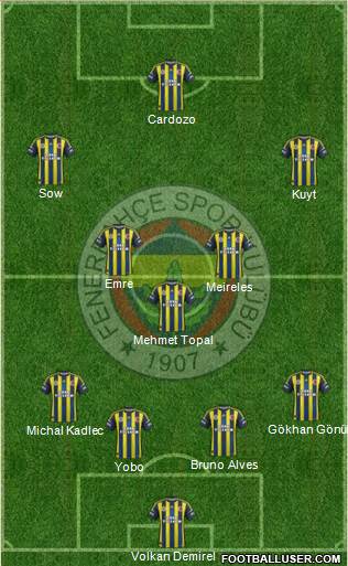 Fenerbahçe SK Formation 2013