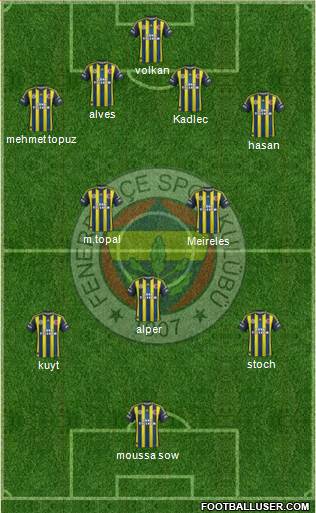 Fenerbahçe SK Formation 2013