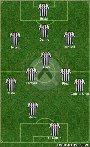 Udinese Formation 2013