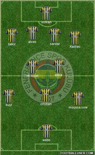 Fenerbahçe SK Formation 2013