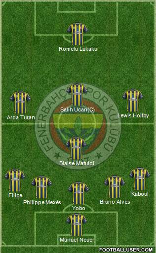 Fenerbahçe SK Formation 2013