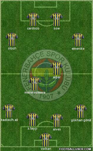 Fenerbahçe SK Formation 2013