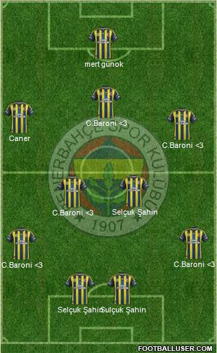 Fenerbahçe SK Formation 2013