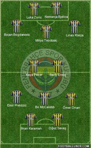 Fenerbahçe SK Formation 2013