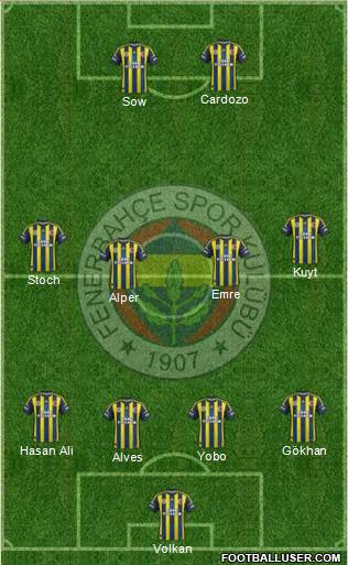 Fenerbahçe SK Formation 2013