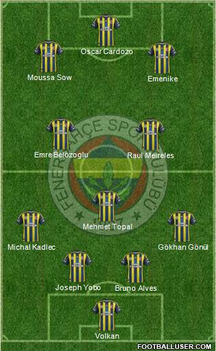 Fenerbahçe SK Formation 2013