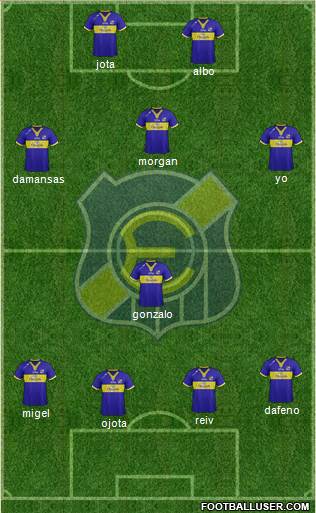 CD Everton de Viña del Mar S.A.D.P. Formation 2013
