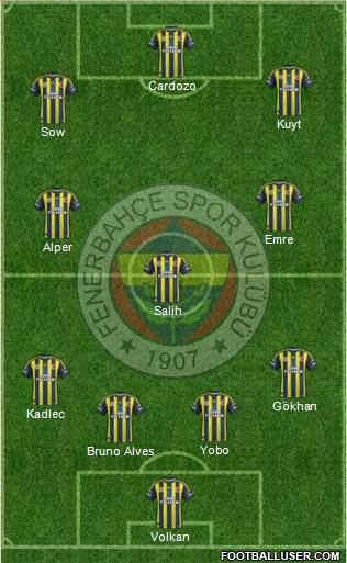 Fenerbahçe SK Formation 2013