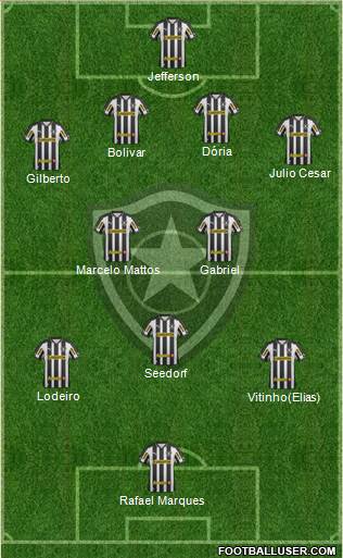 Botafogo FR Formation 2013