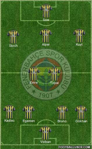 Fenerbahçe SK Formation 2013