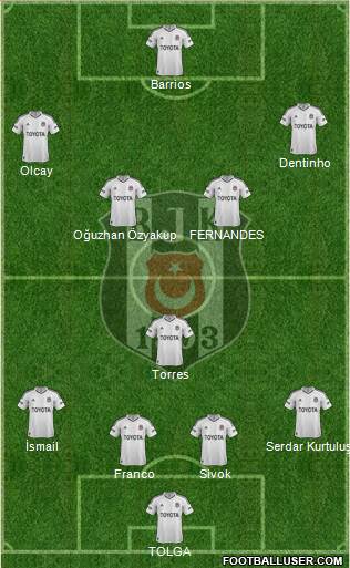 Besiktas JK Formation 2013