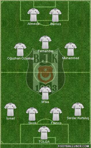 Besiktas JK Formation 2013