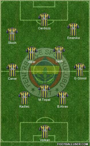 Fenerbahçe SK Formation 2013