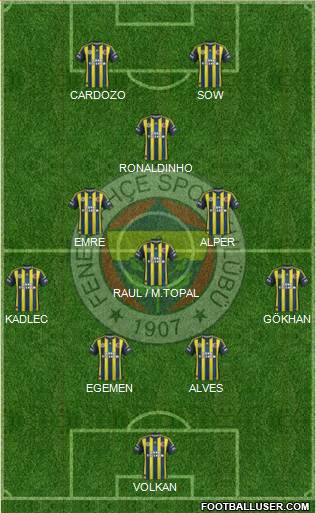 Fenerbahçe SK Formation 2013