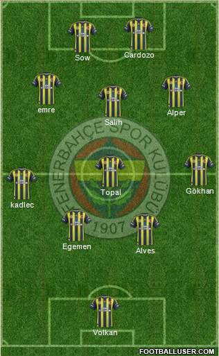 Fenerbahçe SK Formation 2013