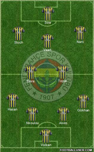 Fenerbahçe SK Formation 2013
